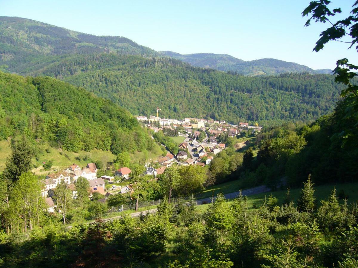Le TRICOTIN gîte 2-4 personnes Sainte-Marie-aux-Mines Extérieur photo